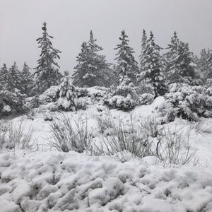 Meet your Posher, Adela